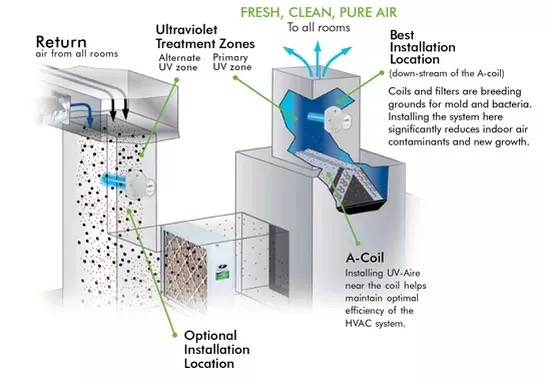 Air Purification Benefits